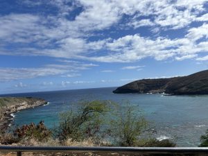 How We Save Thousands on Travel Each Year Using Points and Miles