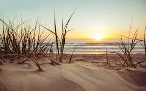 Peaceful beach scene at sunset with sun, sea, and sandy dunes in view. Ideal for nature themes.